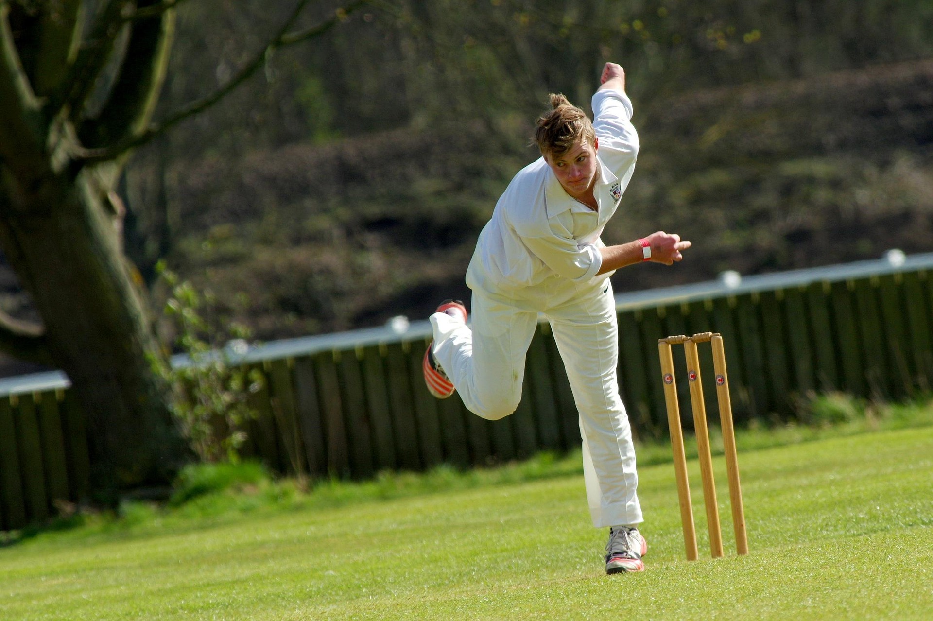 shents-cricket-724614_1920